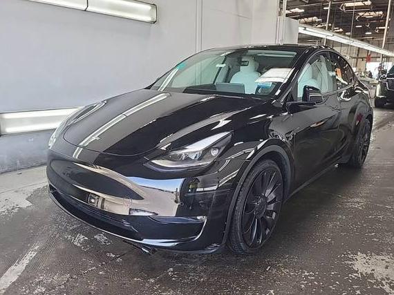 TESLA MODEL Y 2022 7SAYGDEF0NF493838 image